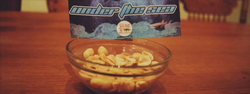 Shark Week: Your Downloadable Printable Party Favors! - Safari Ltd®