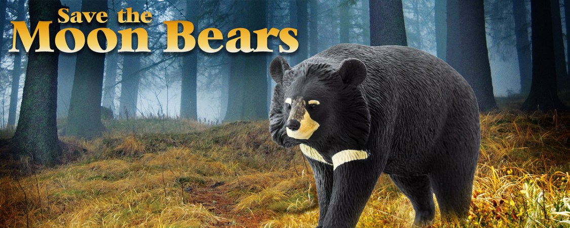 The Moon Bears Need Your Help! - Safari Ltd®