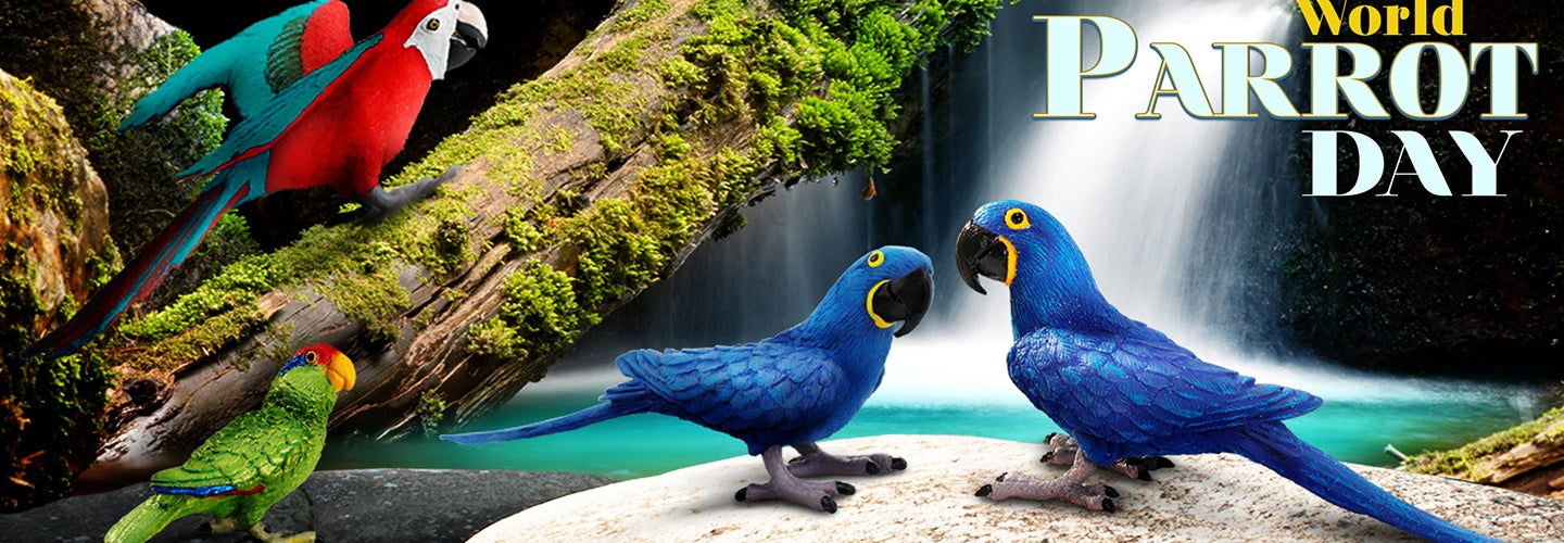 SQUAWK! It's World Parrot Day - Safari Ltd®
