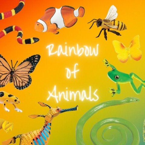 It’s a Colorful World - A Rainbow of Feathers, Fins, Fur, Scales, and Shells - Safari Ltd®