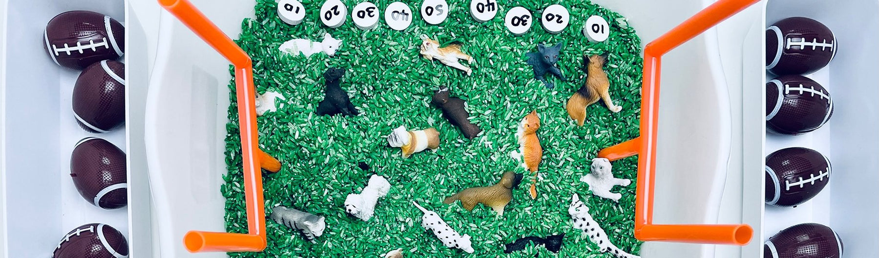 Super Bowl Activities for the Kids - Safari Ltd®