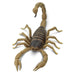 Scorpion Toy | Incredible Creatures | Safari Ltd®