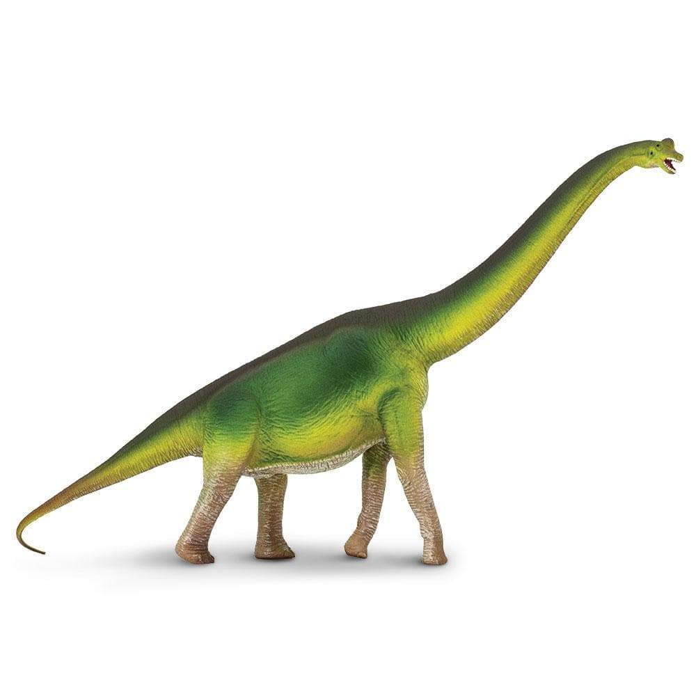 Brachiosaurus Figurine | Safari Ltd®