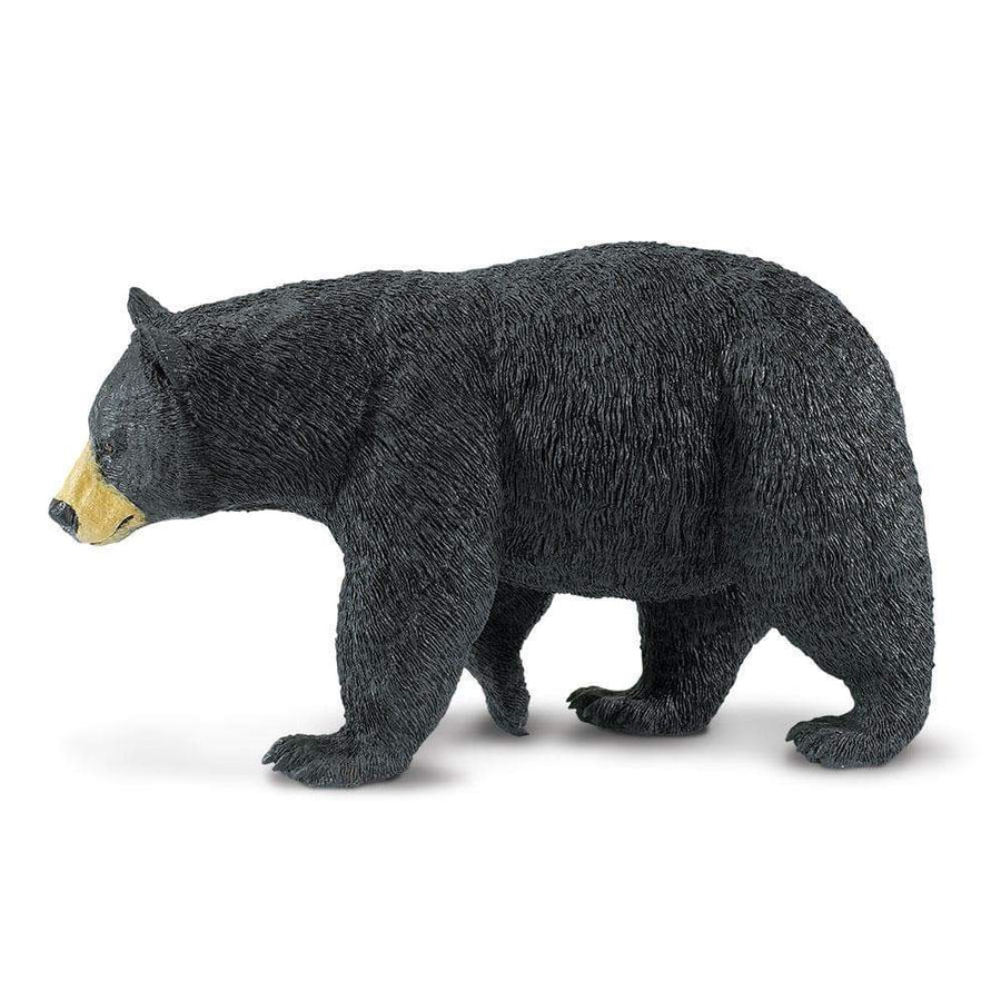 Black Bear Toy | Wildlife Animal Toys | Safari Ltd®