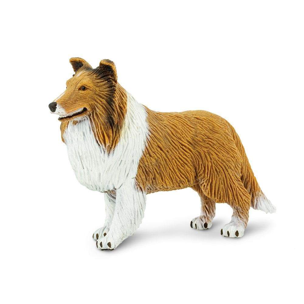 Collie Toy | Safari Ltd®