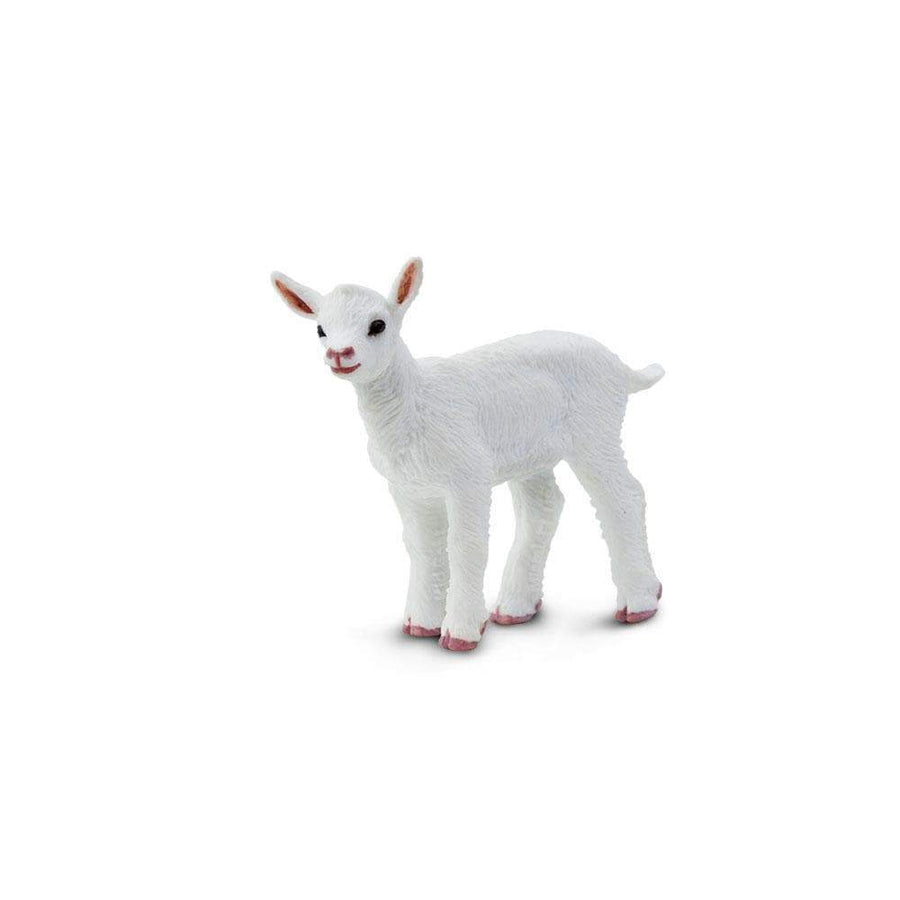 Baby "Kid" Goat Toy | Farm | Safari Ltd®