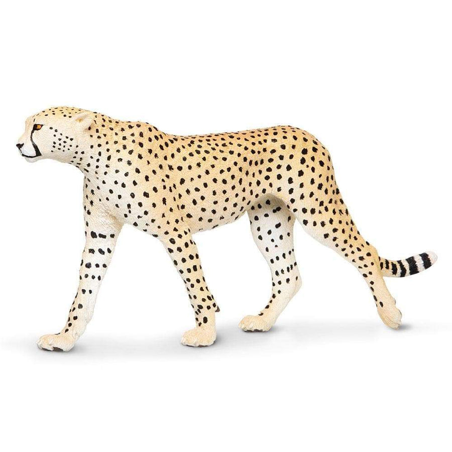 Cheetah Toy | Wildlife Animal Toys | Safari Ltd®