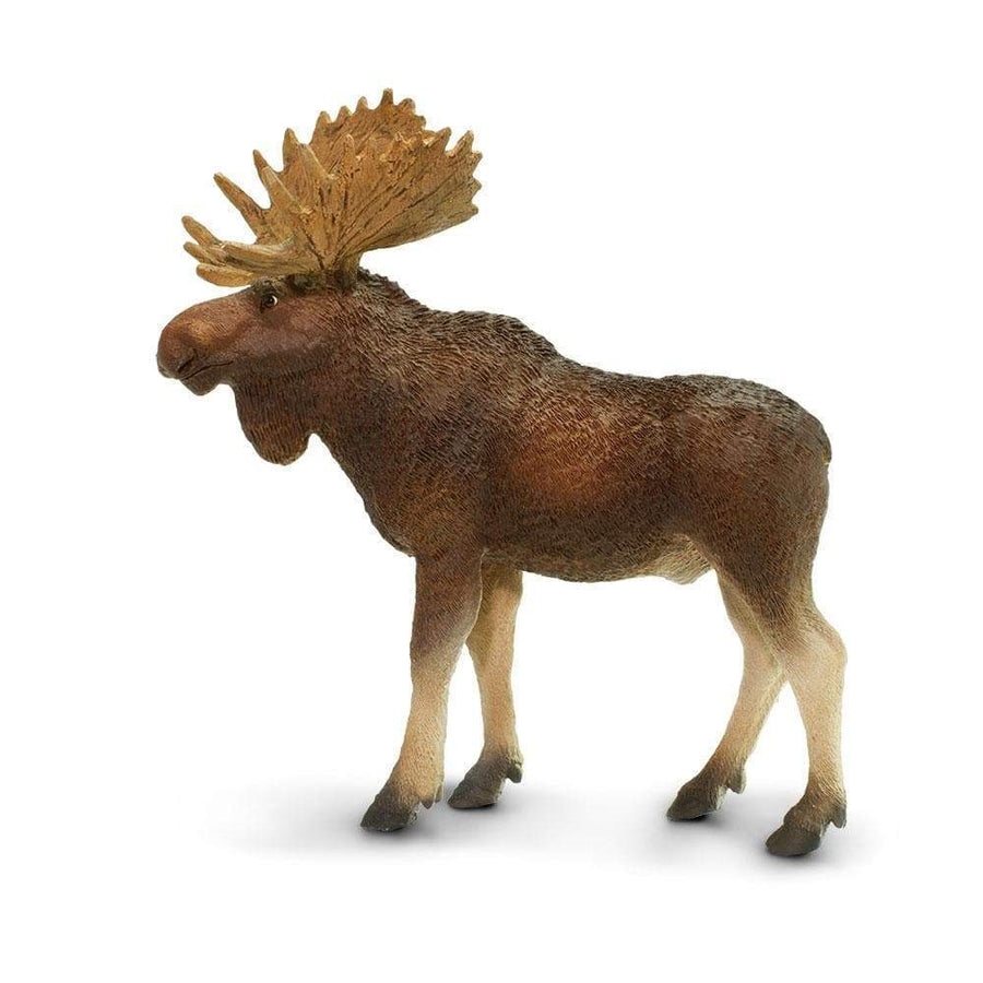 Bull Moose Toy | Wildlife Animal Toys | Safari Ltd®