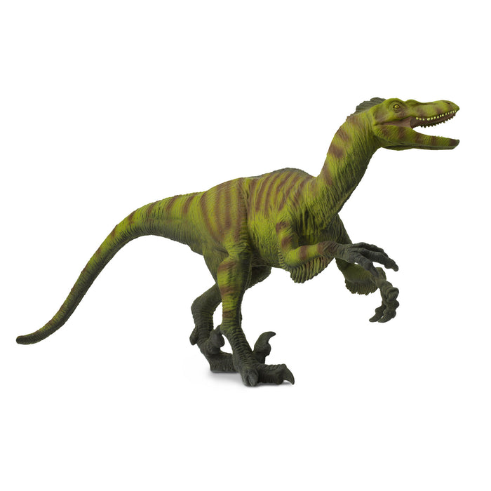 Velociraptor Toy | Dinosaur Toys | Safari Ltd.