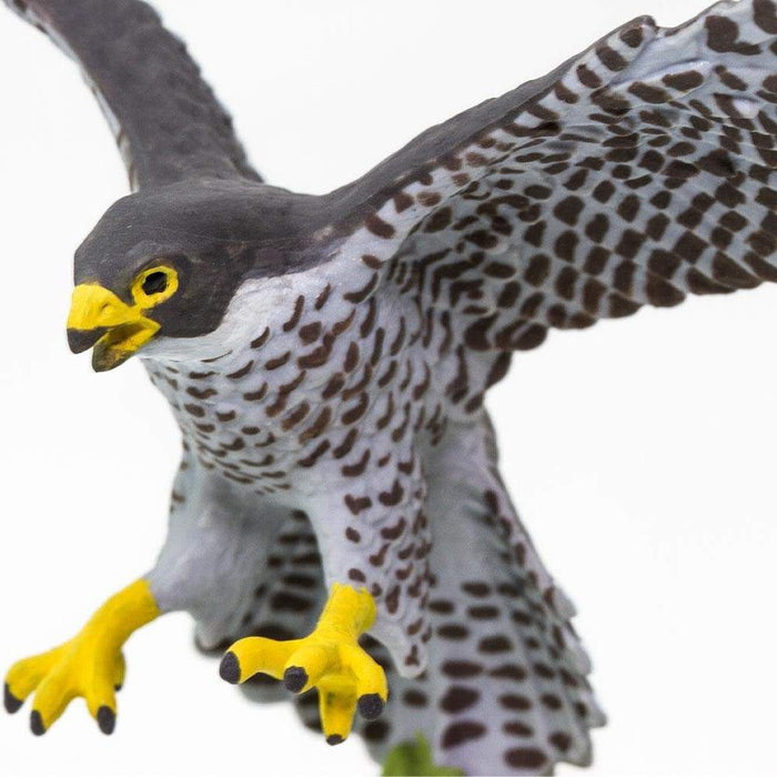 Peregrine Falcon Toy | Wildlife Animal Toys | Safari Ltd®