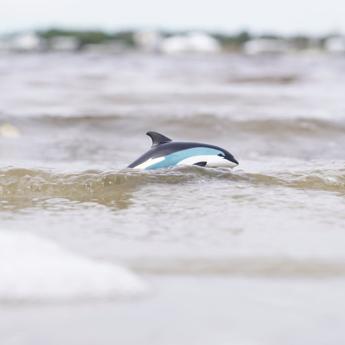 Atlantic White-Sided Dolphin Toy | Sea Life | Safari Ltd®