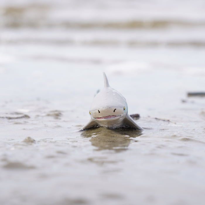 Bull Shark Toy | Sea Life | Safari Ltd®