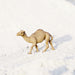 Dromedary Camel Toy | Wildlife Animal Toys | Safari Ltd®