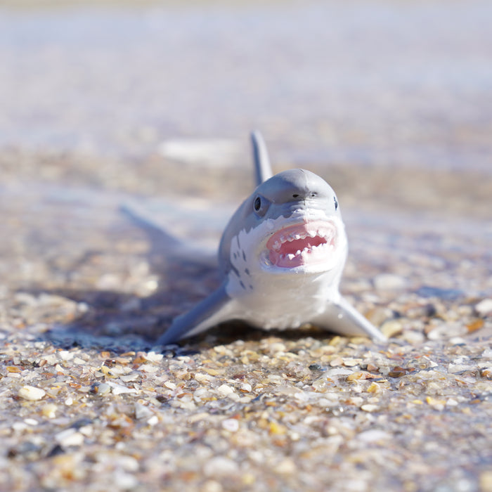 Great White Shark Toy | Sea Life | Safari Ltd®