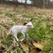 Lamb Toy | Farm | Safari Ltd®