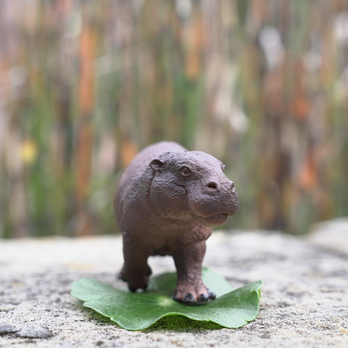 Pygmy Hippo Toy | Wildlife Animal Toys | Safari Ltd®