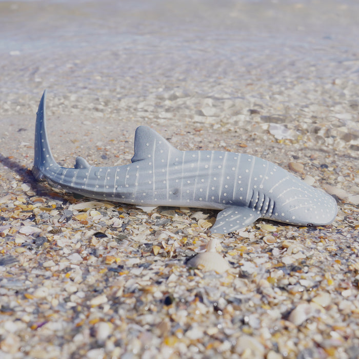 Whale Shark Toy | Sea Life | Safari Ltd®
