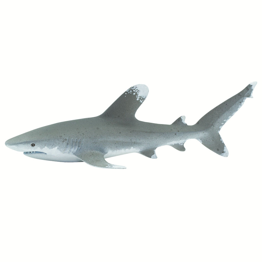 Oceanic Whitetip Shark Toy | Sea Life | Safari Ltd®