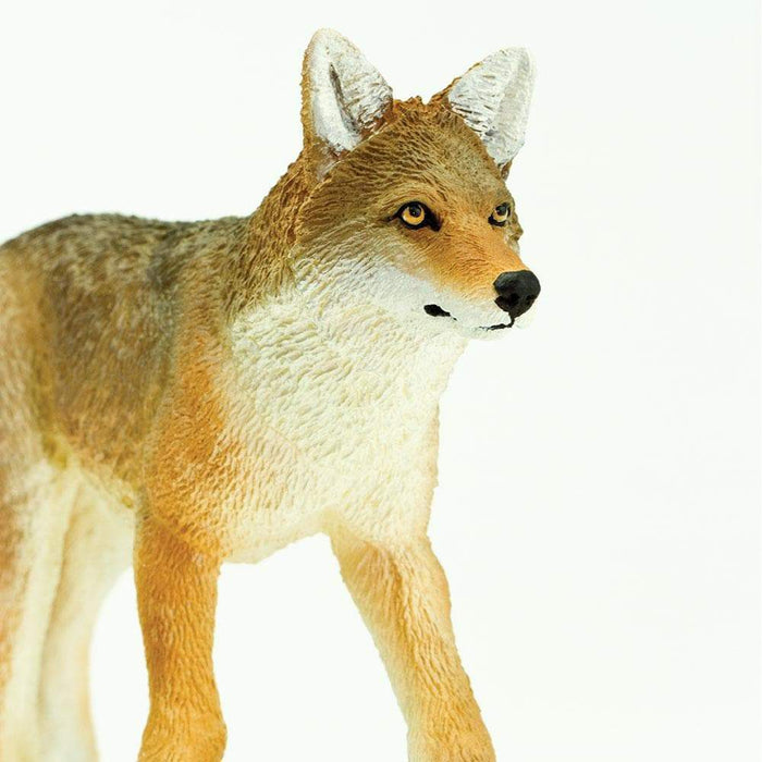 Coyote Toy | Wildlife Animal Toys | Safari Ltd®