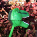 Green T-Rex Snapper Toy | Safariology® | Safari Ltd®