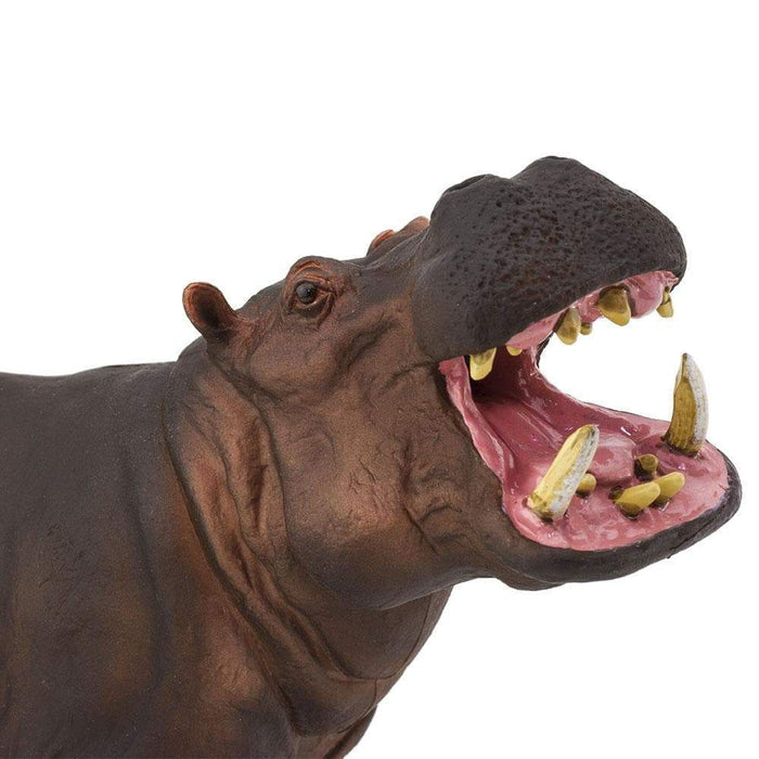 Hippopotamus Toy | Wildlife Animal Toys | Safari Ltd®
