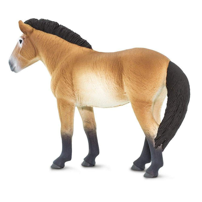 Przewalski's Horse Toy | Farm | Safari Ltd®