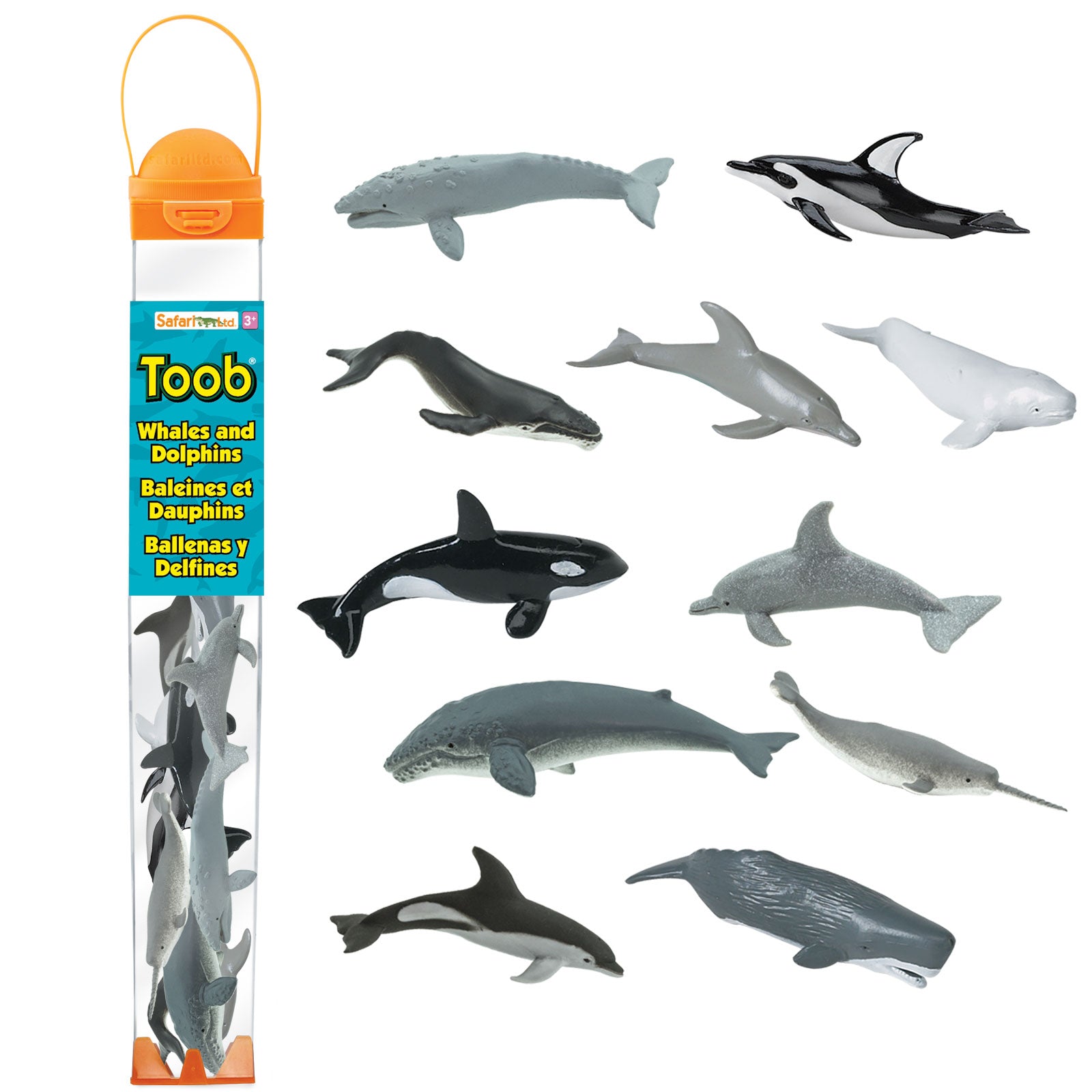 Whales & Dolphins TOOB® | Safari Ltd®