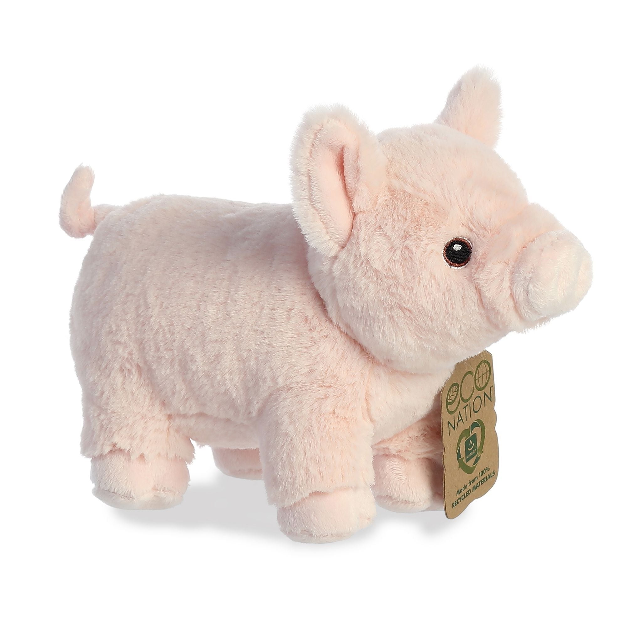 95-eco-nation-pig-962021.jpg?v