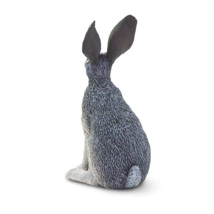 American Desert Hare Toy | Wildlife Animal Toys | Safari Ltd.