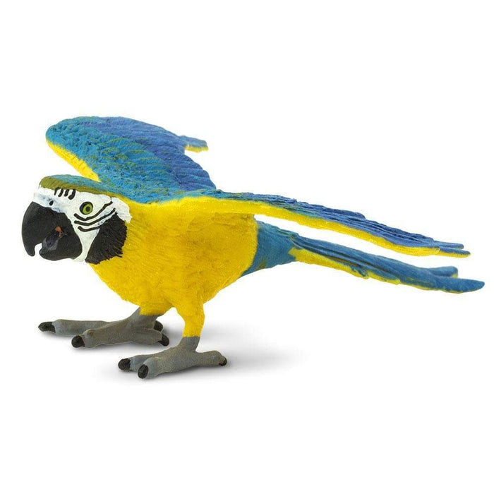 Blue & Gold Macaw - Safari Ltd®