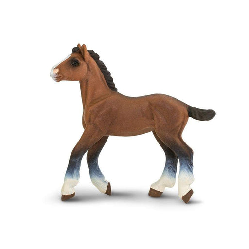Clydesdale Foal - Safari Ltd®