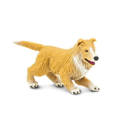 Collie Puppy - Safari Ltd®