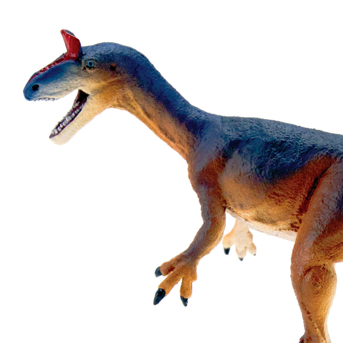 Cryolophosaurus Toy Dinosaur Figure - Safari Ltd®