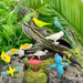 Exotic Birds TOOB® - Safari Ltd®