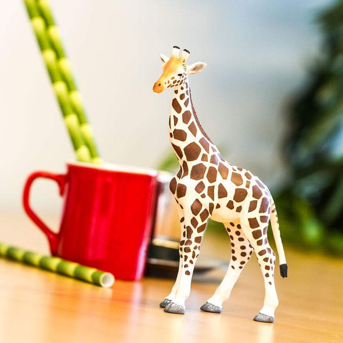 Giraffe - Safari Ltd®