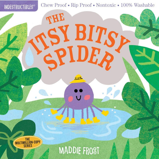 Indestructibles - The Itsy Bitsy Spider - Safari Ltd®