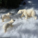 Polar Bear Toy - Safari Ltd®
