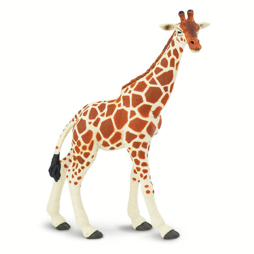 Reticulated Giraffe Toy - Safari Ltd®