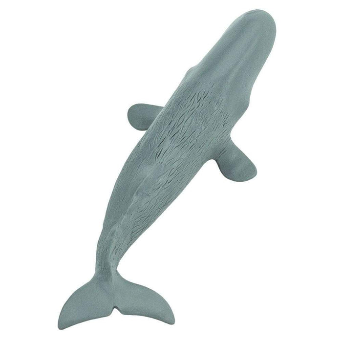 Sperm Whale Toy - Sea Life Toys by Safari Ltd.