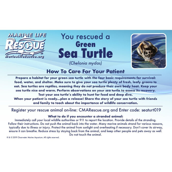 Turtle in Rescue Stretcher - Safari Ltd®