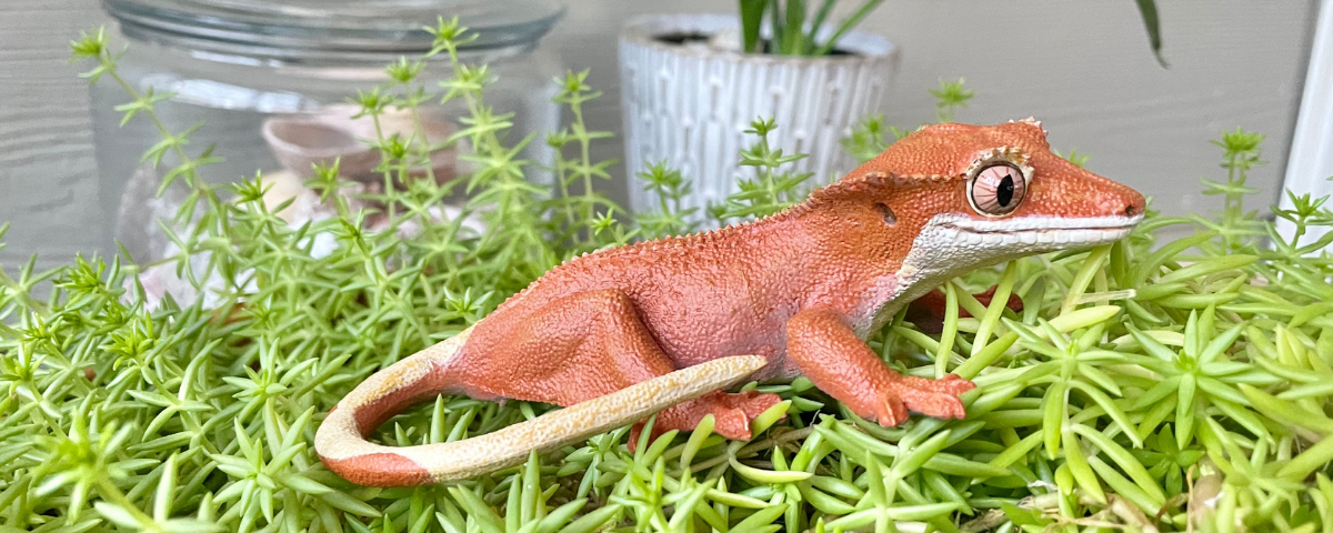Crested Gecko figure in grass