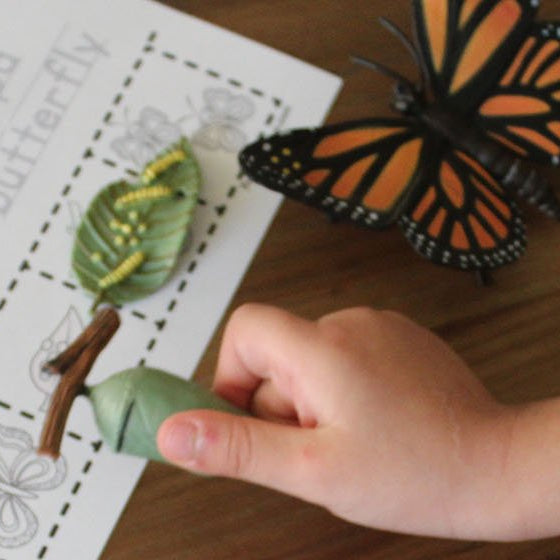 4 Environmental Activities For Kids - Safari Ltd®