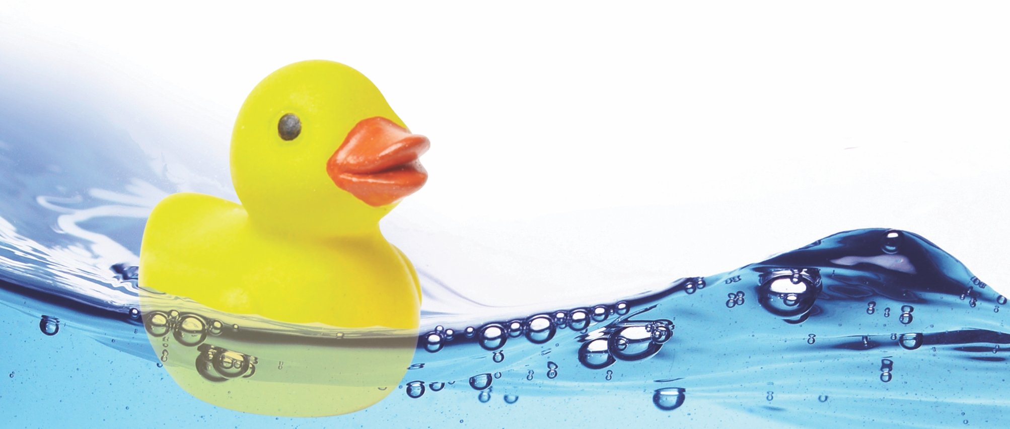 The rubber duck cheap
