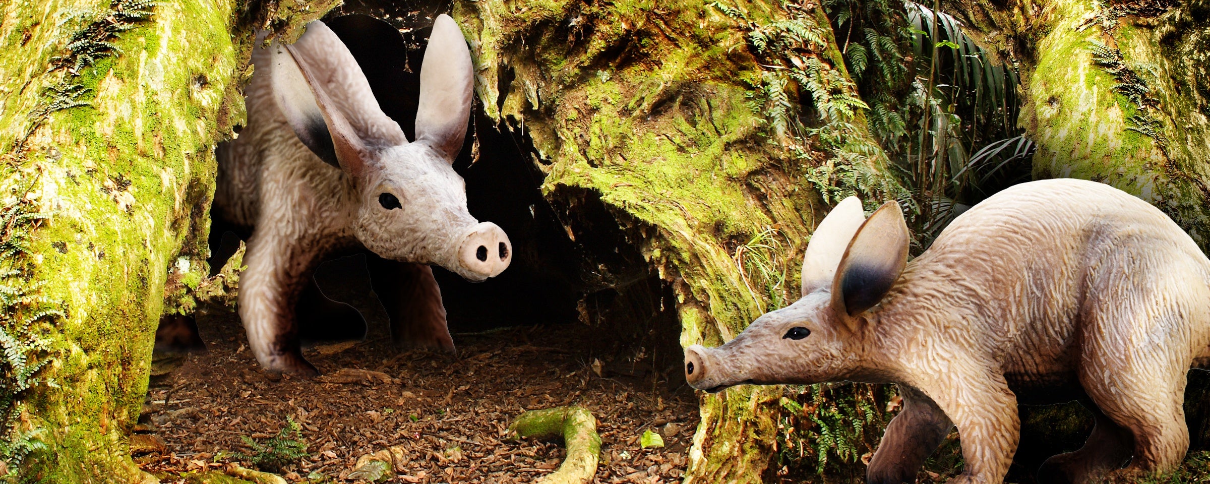 Aa Whole Week Just for Aardvarks! Aamaazing! - Safari Ltd®
