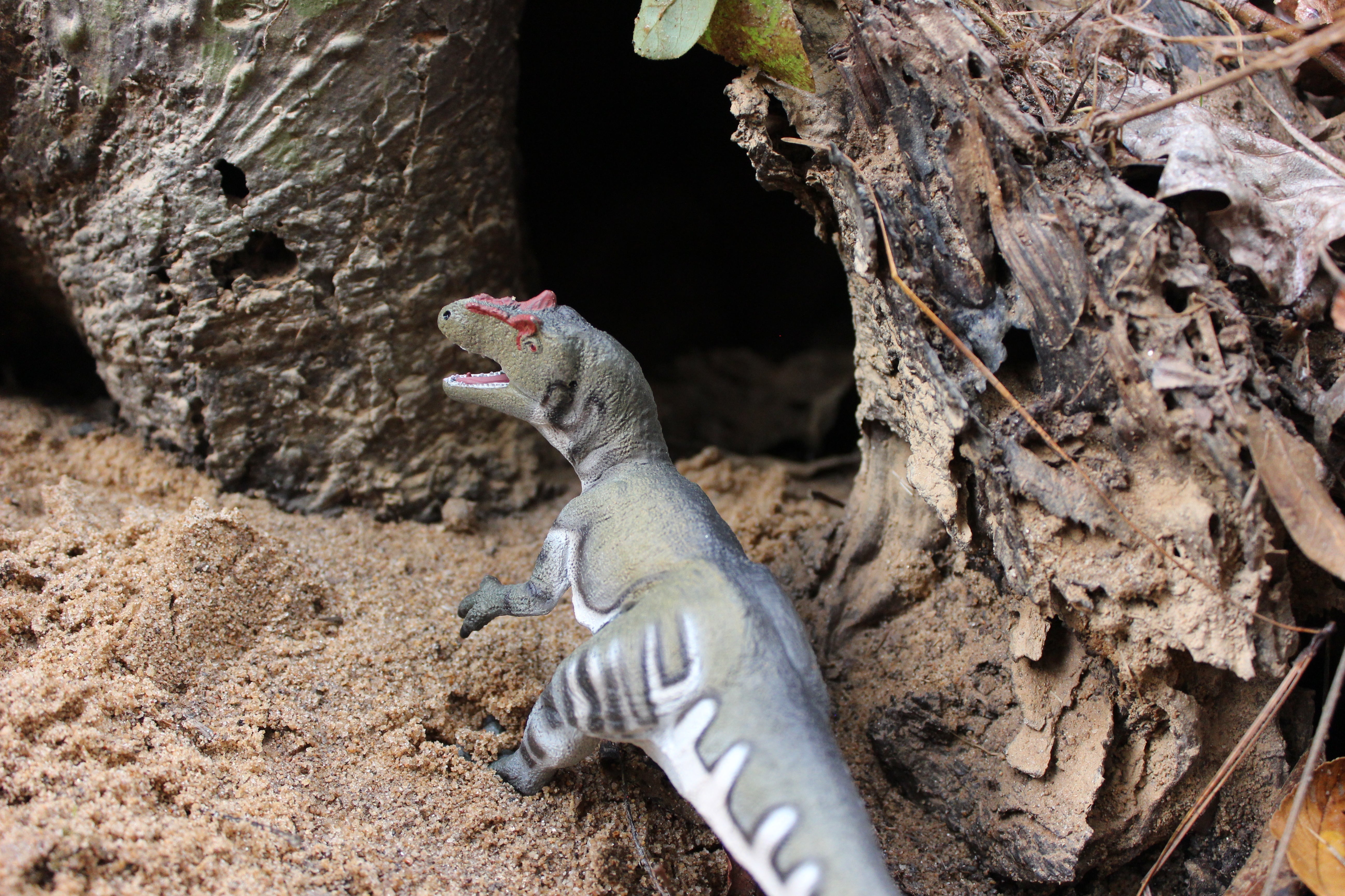 Top Figurines That Make Great Dinosaur Gifts for Holidays and Birthdays