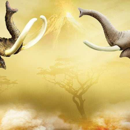 Animals and Their Ancestors - Safari Ltd®