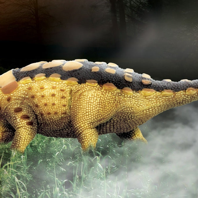 Learn about Thyreophoran Dinosaurs! - Safari Ltd®