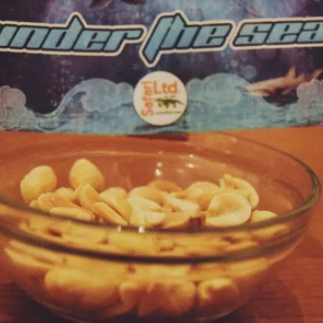 Shark Week: Your Downloadable Printable Party Favors! - Safari Ltd®
