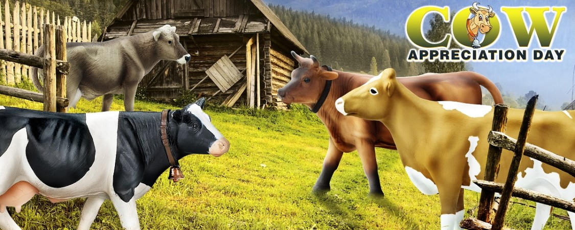 Appreciate a Cow Today! - Safari Ltd®
