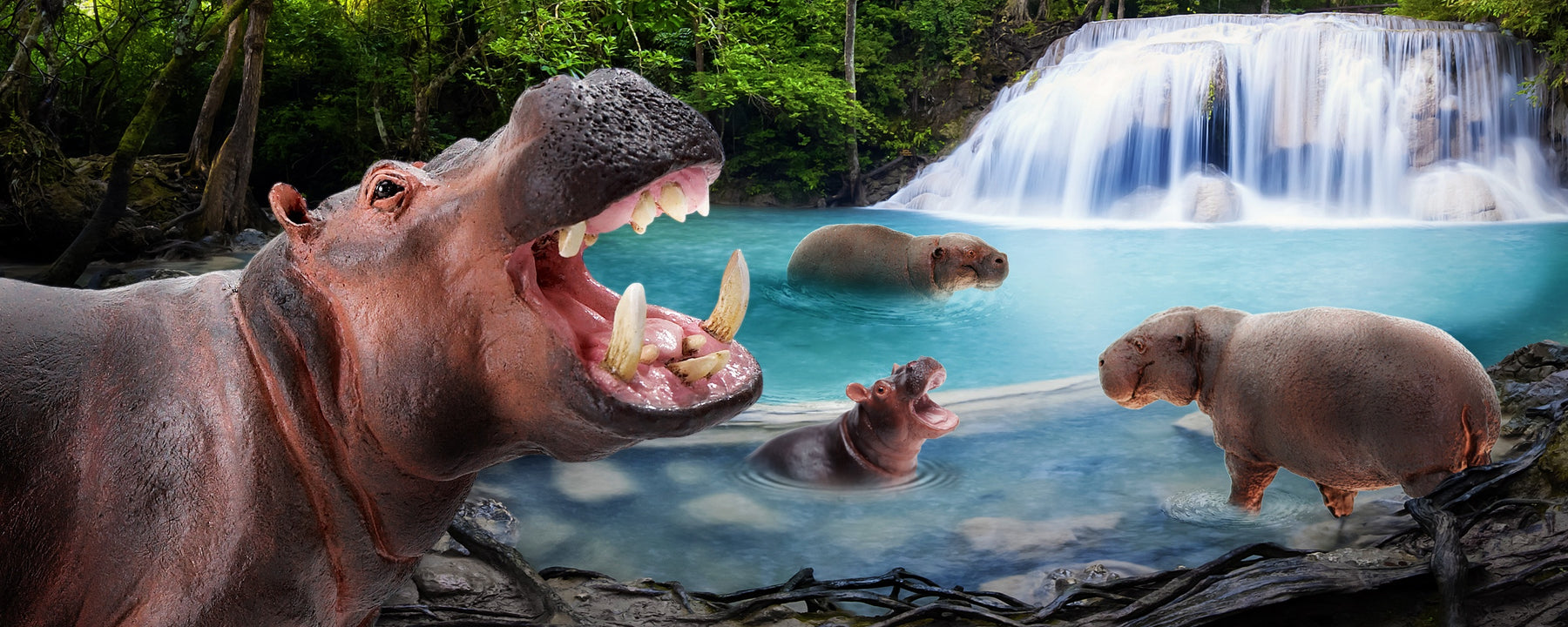 Hip Hip Hooray for Hippo Day! - Safari Ltd®